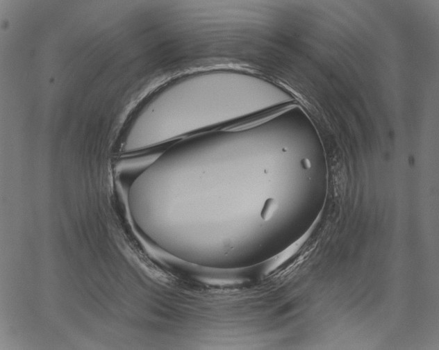 X0000067480350200604071144