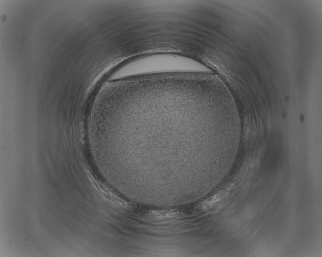 X0000067480351200604071144