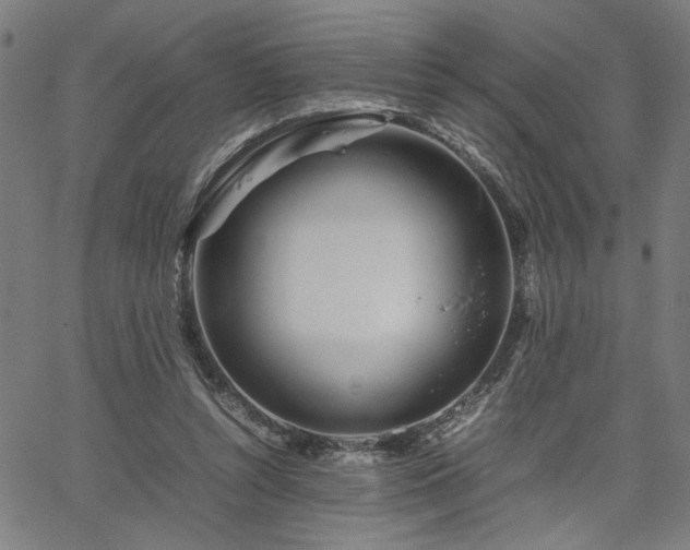 X0000067480352200604071144