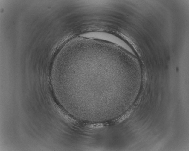 X0000067480353200604071144