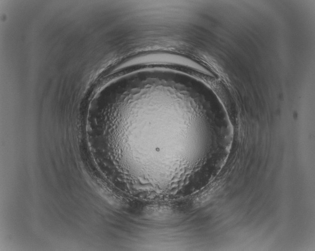 X0000067480354200604071144