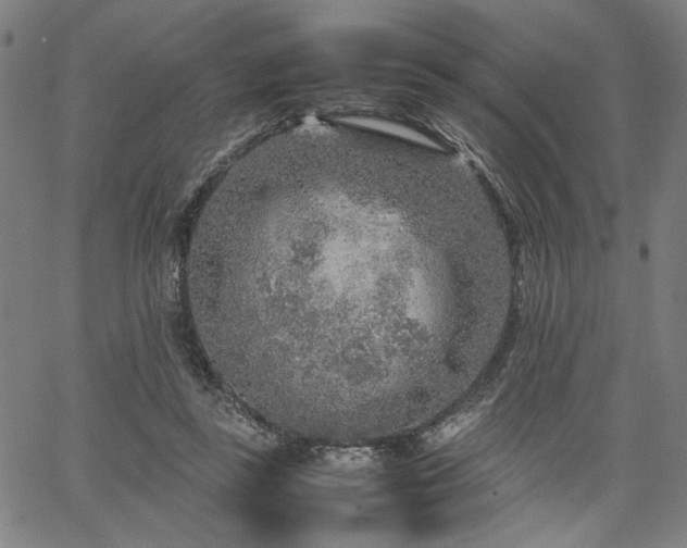 X0000067480355200604071144