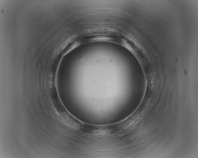 X0000067480356200604071144