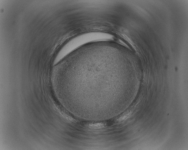 X0000067480357200604071144