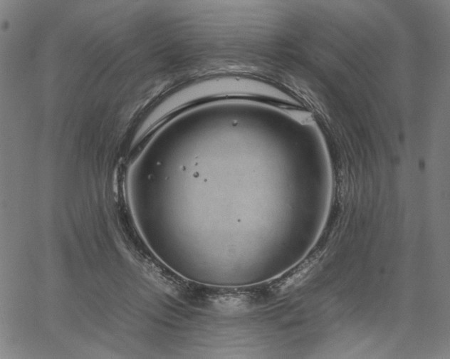 X0000067480358200604071144