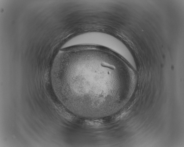 X0000067480359200604071144