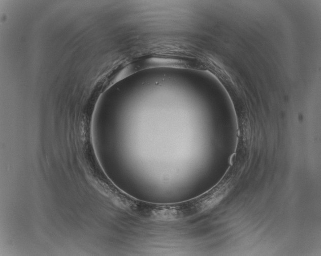 X0000067480362200604071145