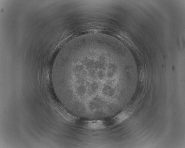 X0000067480363200604071145