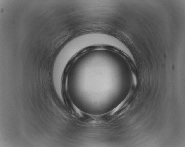 X0000067480364200604071145