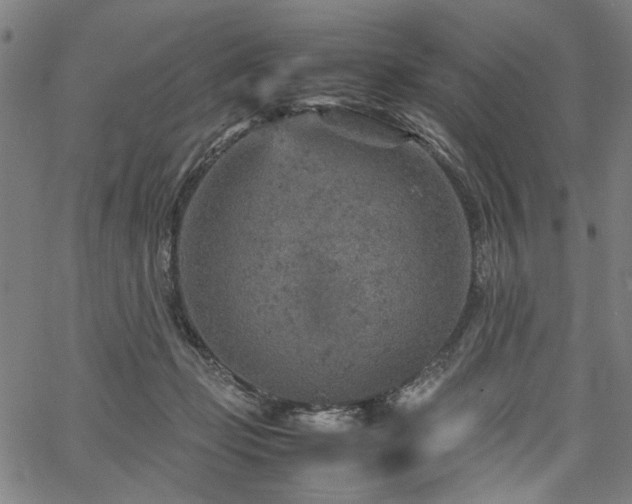 X0000067480365200604071145