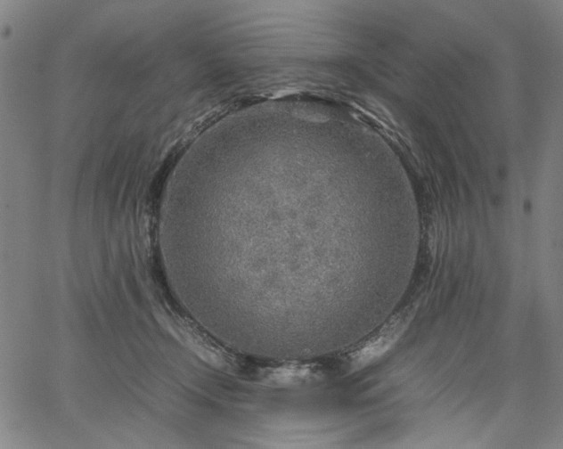 X0000067480366200604071145