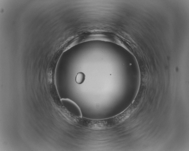 X0000067480368200604071145