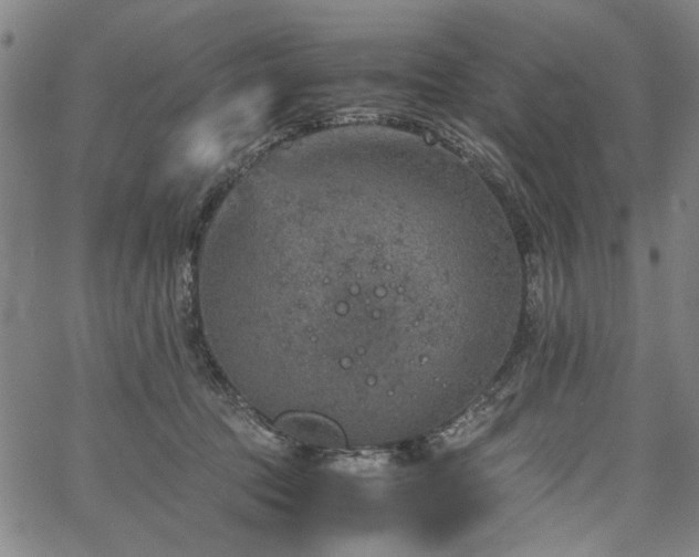 X0000067480369200604071145