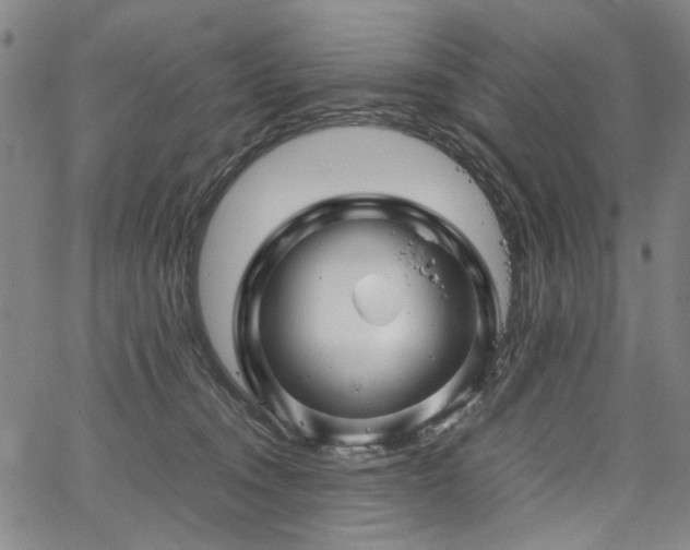 X0000067480372200604071145