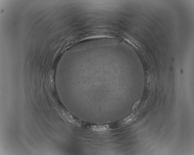 X0000067480373200604071145