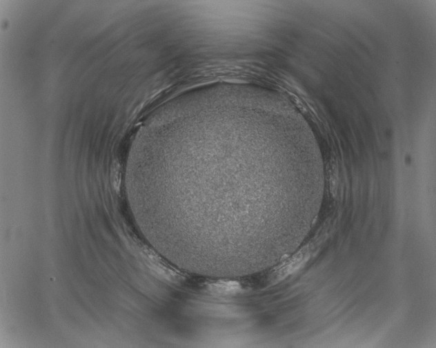 X0000067480374200604071145