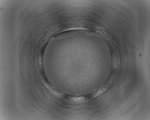 X0000067480375200604071145