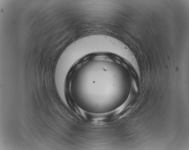 X0000067480376200604071145