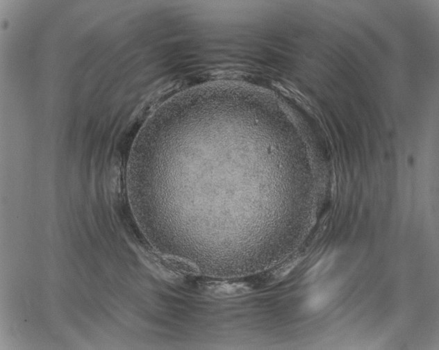 X0000067480379200604071145