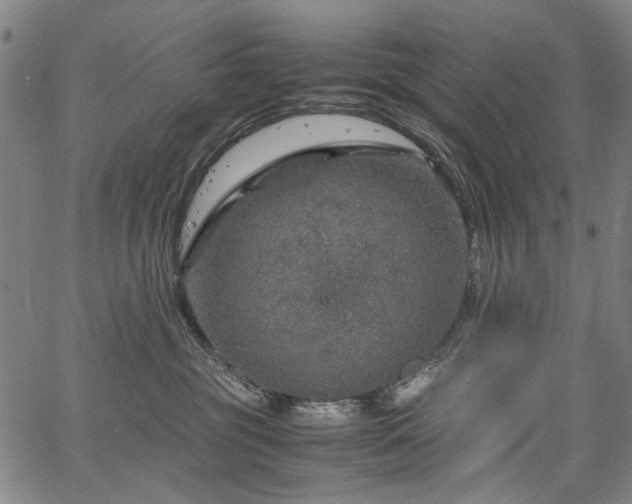 X0000067480381200604071145