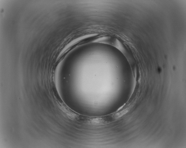 X0000067480382200604071145