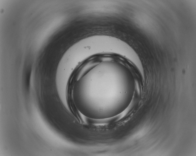 X0000067480383200604071145