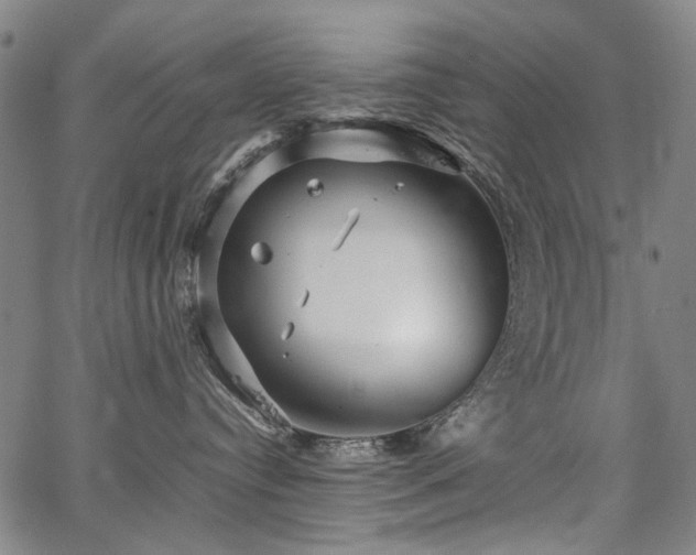 X0000067480384200604071145