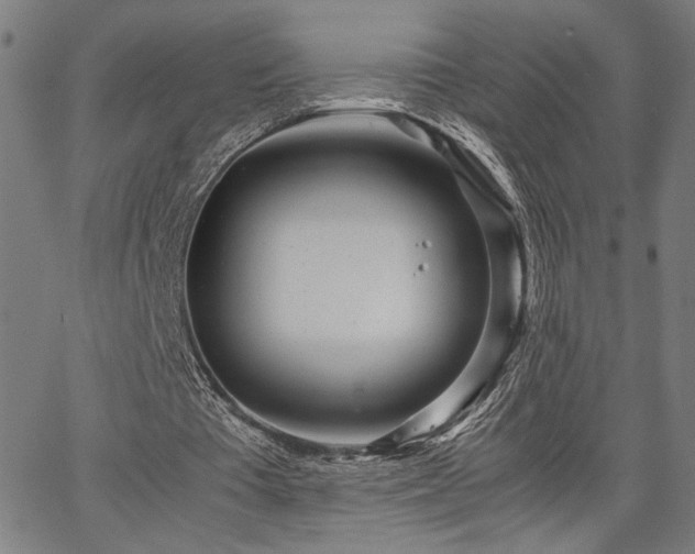 X0000067480385200604071144