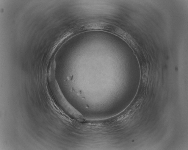 X0000067480386200604071144