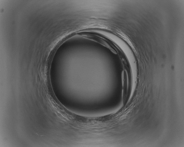 X0000067480387200604071144