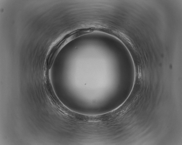 X0000067480388200604071144