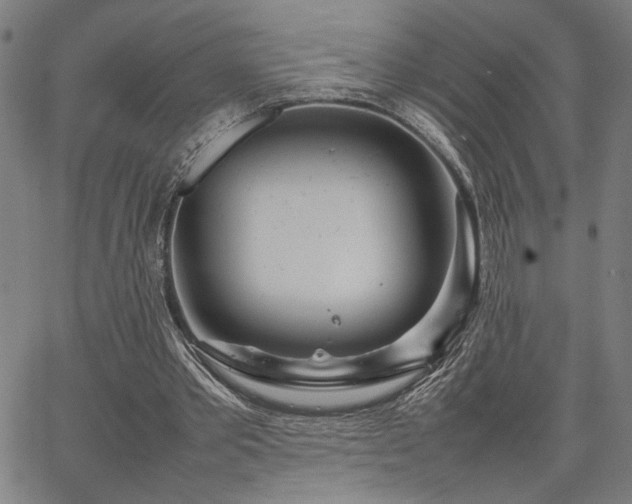 X0000067480389200604071144