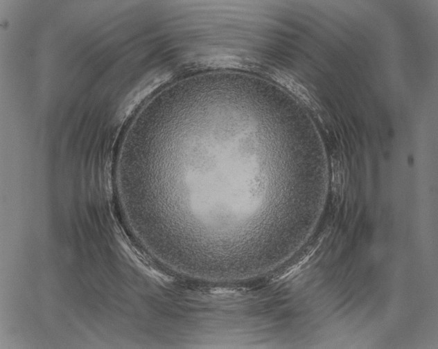 X0000067480390200604071144