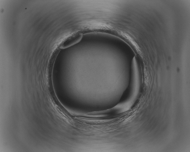 X0000067480391200604071144