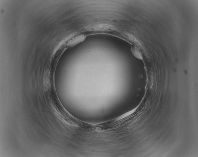 X0000067480392200604071144