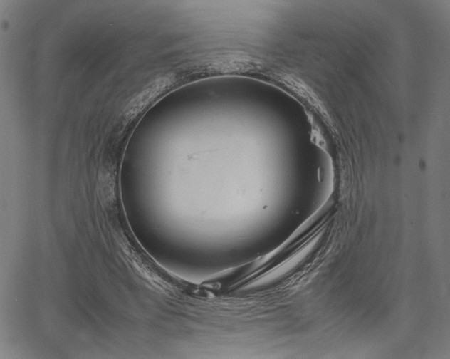 X0000067480393200604071144