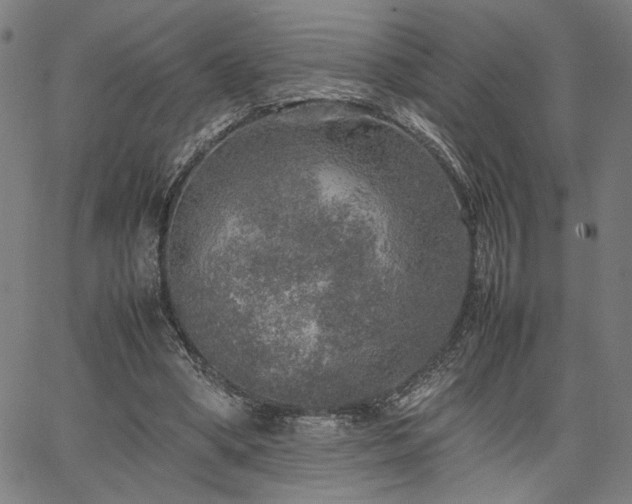 X0000067480394200604071144