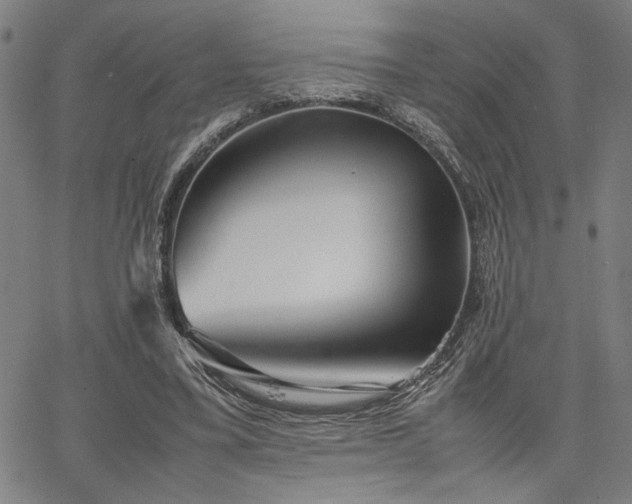 X0000067480395200604071144