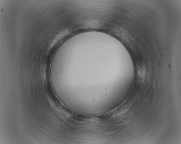 X0000067480396200604071144