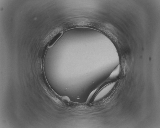 X0000067480397200604071144