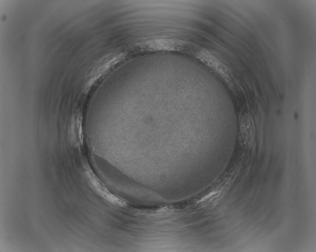 X0000067480398200604071144