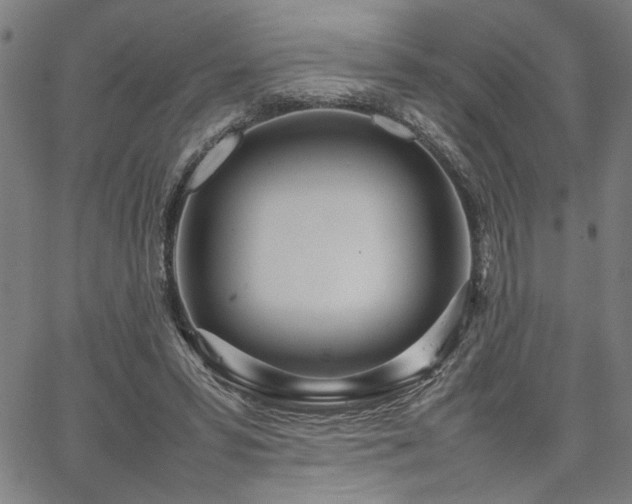 X0000067480399200604071144