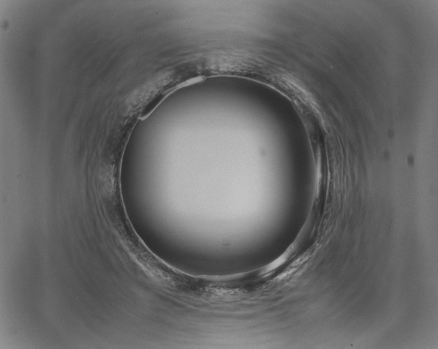 X0000067480401200604071144