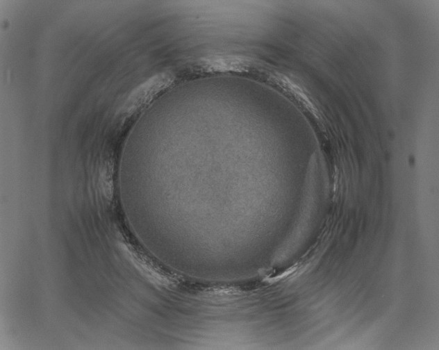 X0000067480402200604071144