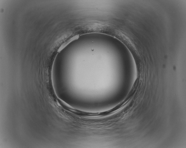 X0000067480403200604071144