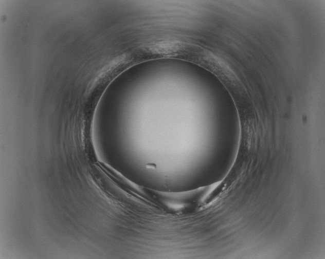 X0000067480404200604071144