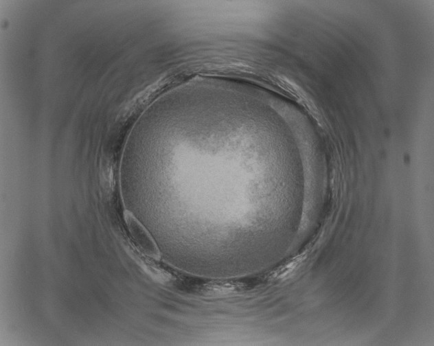 X0000067480405200604071144