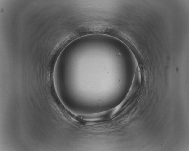 X0000067480407200604071144