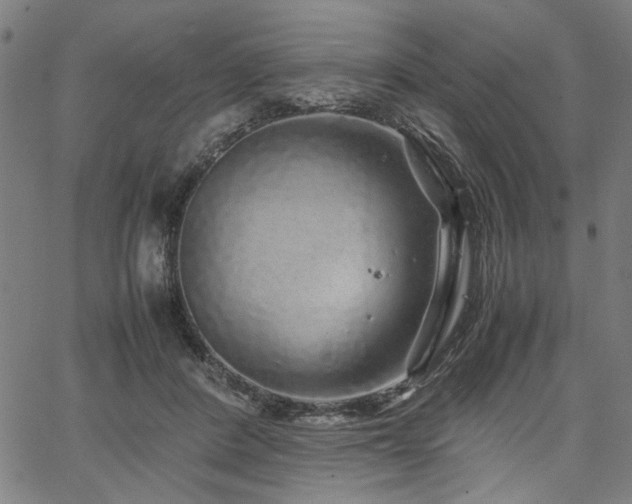 X0000067480408200604071144