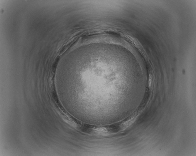 X0000067480409200604071144